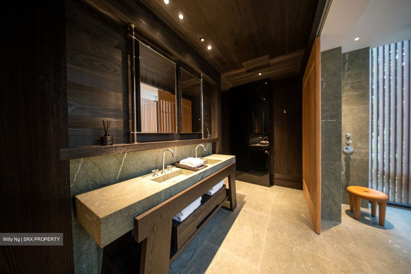 21 Anderson (D10), Condominium #517452741